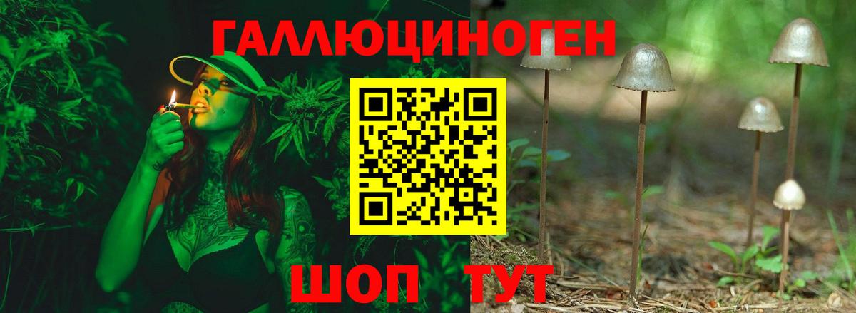 Галлюциногенные грибы Psilocybe  Вход с VPN  Удомля  Псилоцибиновые грибы MAGIC MUSHROOMS 