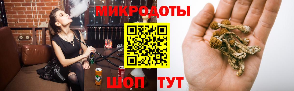 Псилоцибиновые грибы Psilocybine cubensis Удомля